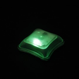 TMC SP Marker Light Personal Identification LED (Green)