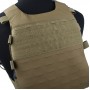 TMC ASPC Airsoft Plate Carrier ( CB )