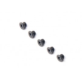 AIP Metal Screws for Fiber sight and Cocking Handle