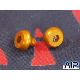 AIP 7075 Aluminum Grip Screws For TM 4.3/5.1 - Gold