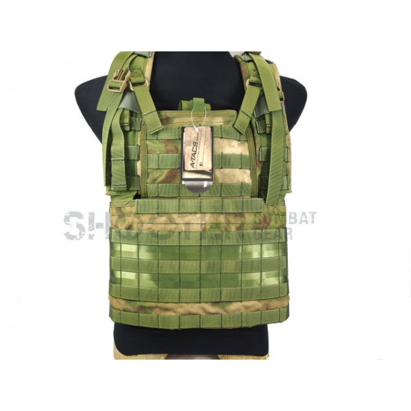 Flyye MOLLE RRV Vest (A-TACS FG)