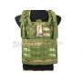 Flyye MOLLE RRV Vest (A-TACS FG)