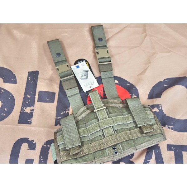 Flyye MOLLE Versatile Holster (RG)