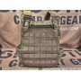 Emerson 420 PLate Carrier (CB) (FREE SHIPPING)