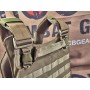 Emerson 420 PLate Carrier (CB) (FREE SHIPPING)