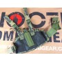 Flyye MOLLE Versatile Holster (AOR2)