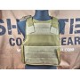 Flyye SVS Personal Body Armor (CB)