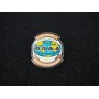 "BSAA - OCEANIA" small pin badge