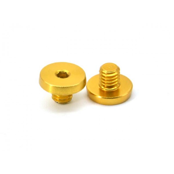 AIP 7075 Aluminum Grip Screws (Type 5) For TM 4.3/5.1 - Gold